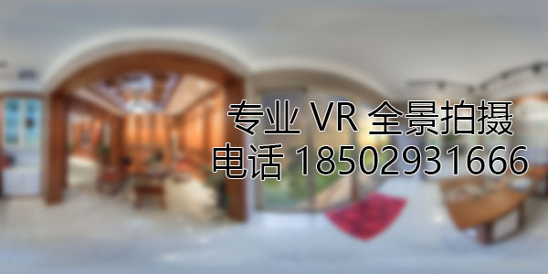 岳西VR全景技术在未来可能的发展方向和应用领域?